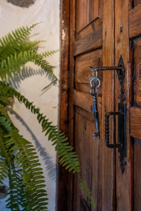 San Bartolomé Vv El Lagar De Tunte Fibra Internetヴィラ エクステリア 写真